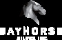 Bayhorse Silver Inc » Bayhorse Silver Closes Private Placement