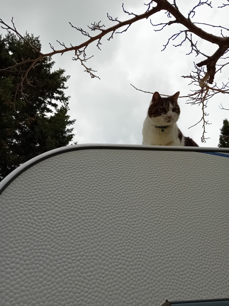 20250302_101548.jpg