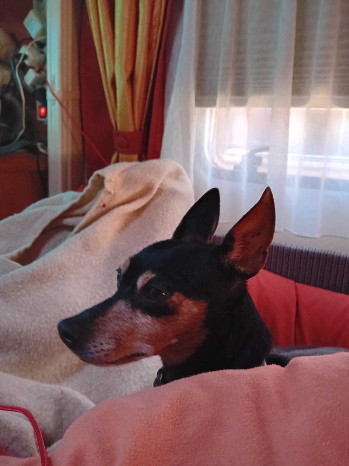 20250220_073528.jpg