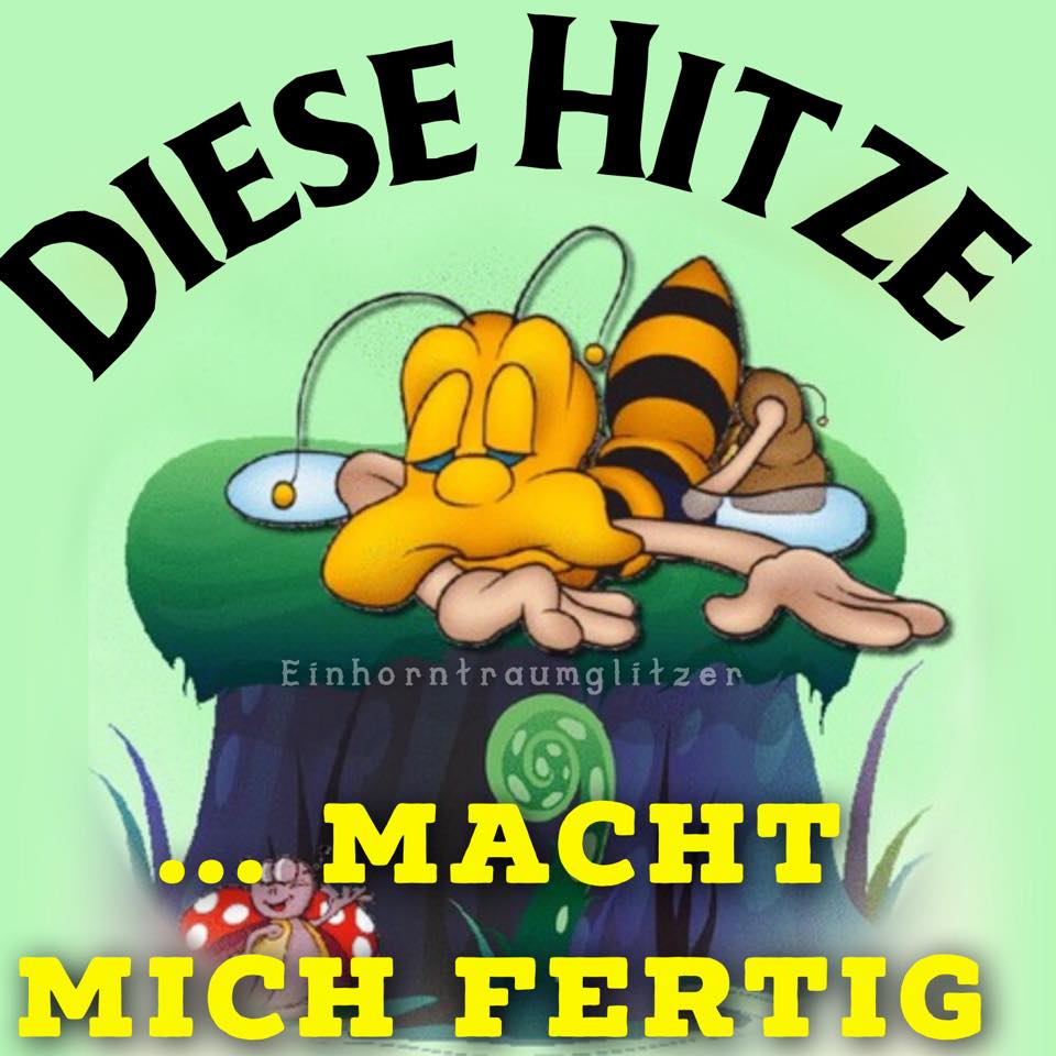 hitze_031.jpg