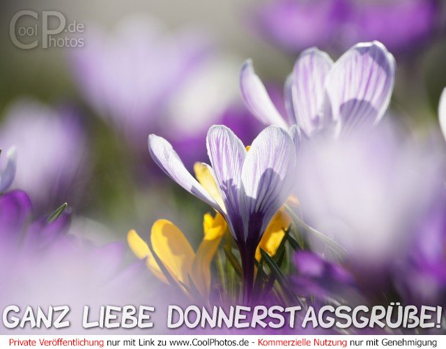 coolphotos_de_110322_08928_liebe_donnerstag....jpg
